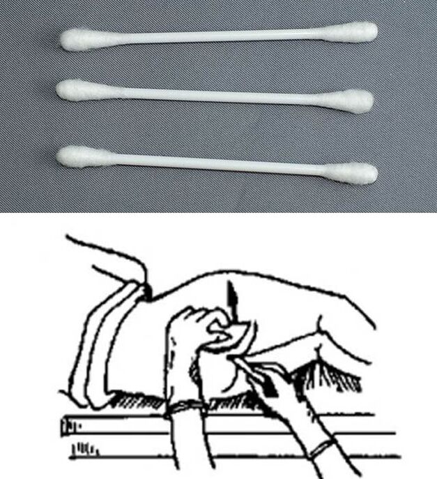 Analisi rocce