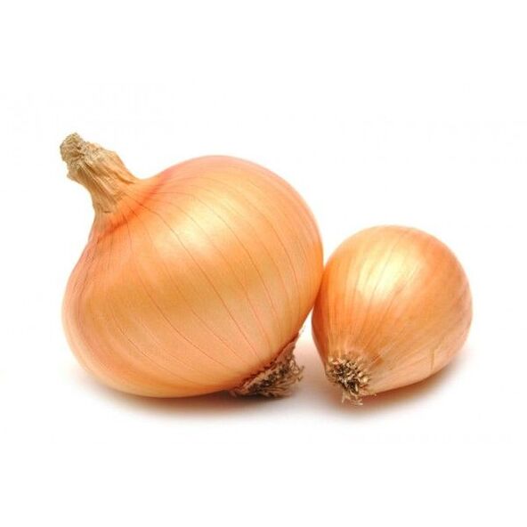 Cipolla