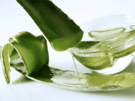 aloe