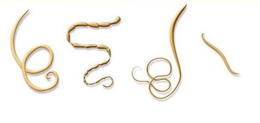 tipi più comuni di parassiti